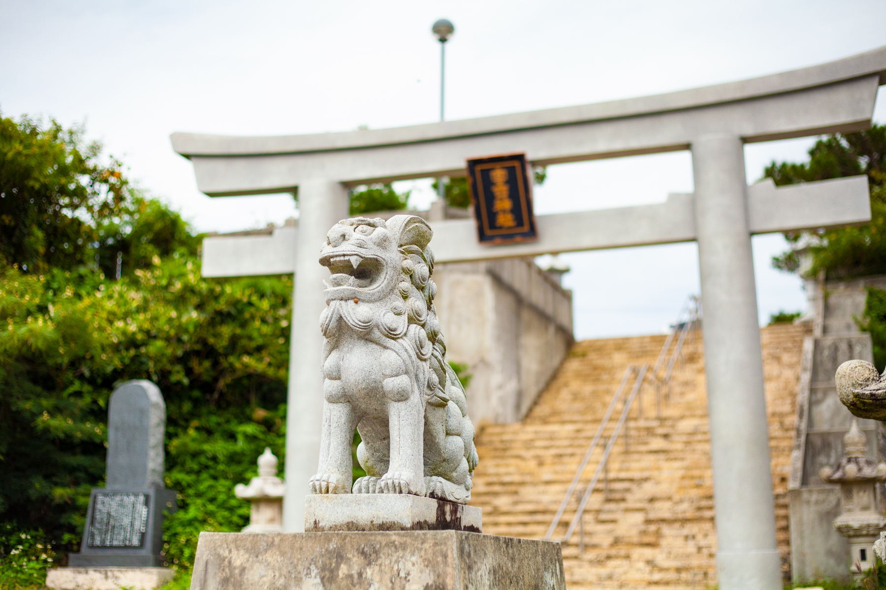 エコアイランド宮古島