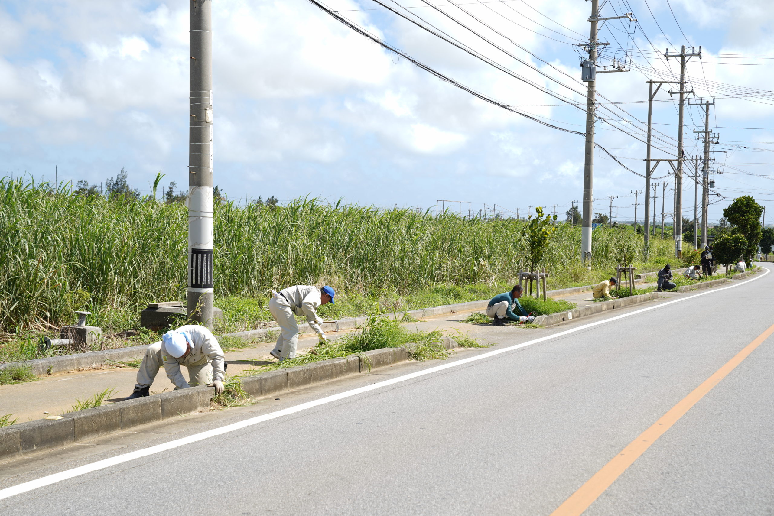 エコアイランド宮古島